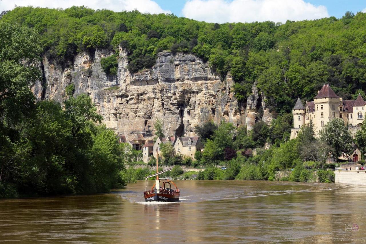 Au Coeur De Beynac, Superbe Maison Du 14Eme Siecle Avec Jardin Panoramique 외부 사진